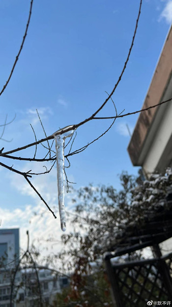 今年的第一场雪