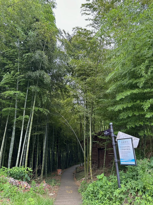 竹海之乡：安吉（三）龙登台